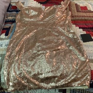 New dress, size: XL, colors champagne sequin. zipper back